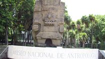 Anthropology Museum Private Experience Walking Tour