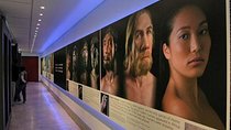 Cradle of Humankind and Lion and Safari Park Tour from Johannesburg or Pretoria