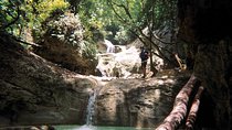 Zip N Splash Adventure plus Horseback Riding