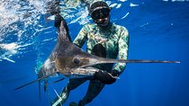 Spearfishing full day charter at Kawau Island