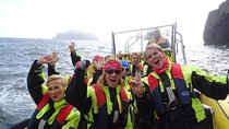 1-Hour Small Group Sightseeing Boat Tour in Vestmannaeyjar