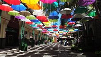 Port Louis and Pamplemousses Garden - A full day trip