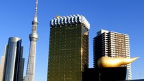 Private Custom Tokyo Tour VIP