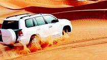 Red Dunes Safari with BBQ dinner, Falcon and Camel Ride