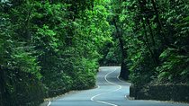 Eco-Tour (Konoko Falls & Fern Gully- from Ocho Rios