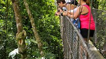 Pure Trek Canyoning & Hanging Bridges Combo in La Fortuna