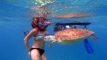 Florida Keys Eco Tour: Snorkel, Kayak, Lunch + Transportation!