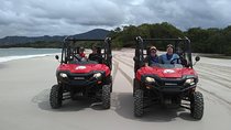 Buggy Tamarindo to Playa Flamingo