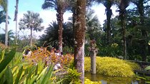 The landscaper Burle Marx and its site - cultural heritage