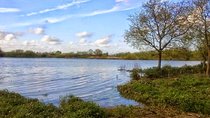 RIBATEJO - ALL INCLUDED, one day trip in Salvaterra de Magos and Escaroupim Tour