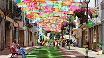 Private Coastal Journey (Obidos, Nazaré) to Águeda Art Umbrellas