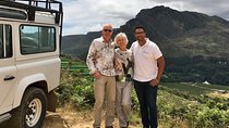 Premium Full-Day Wine Tour in Constantia from Cape Town