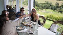 Premium Half-Day Constantia Wine Tour from Cape Town