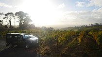 Private: Full Day Ultra-Premium Wine Tour from Cape Town to Constantia