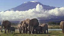 2 Days Amboseli National Park Safari- Guarantee Daily Departure