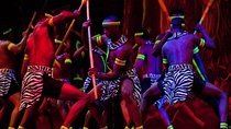 Safari Park Hotel Cat Dance and Dinner Experience