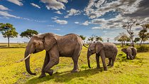 Private Hell's Gate, Lake Naivasha, Lake Nakuru and Masai Mara 5-Day Safari