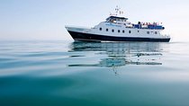 Boat Trip from Dublin City to Dun Laoghaire