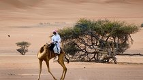 Wahiba Sands Desert with Wadi Bani Khalid Tour by 4X4