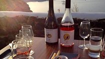 Traditional villages and wine tasting tour for small group