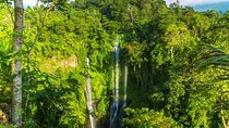 Small-Group Sekumpul Waterfall Jungle Trek with Lunch