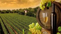 8hr-Private Wine Tour from SF & 1/2 Case of Californian wine.