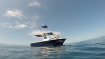 Snorkel Adventure In Puerto Vallarta South Beaches