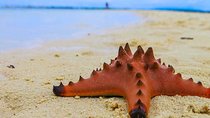 Cebu: 3 Days and 2 Nights