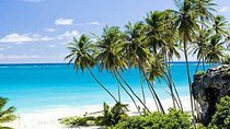 Barbados Full-day Coast to Coast Tour