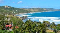 Barbados Island Tour with Lunch and Wildlife Sanctuary