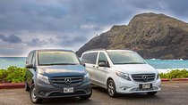 VIP Aloha Style Private Island Tour
