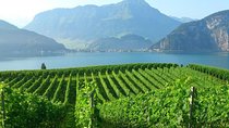 Half-Day Lake Lucerne Country Walk