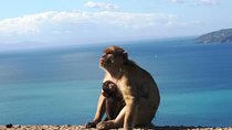 Gibraltar with Rock of Gibraltar & St. Michael Cave from Seville
