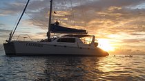 Afternoon Luxury Catamaran Sailing and Charter Cruise from Bridgetown