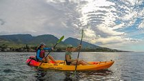 Lahaina Kayak and Snorkel Excursion