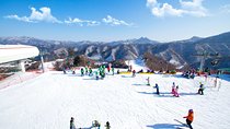 Elysian Gangchon Winter Ski with Nami Island Day Tour from Seoul