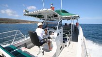 Private Snorkel Tour 3 Hrs 1 stop from Kaanapali Beach 