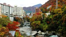 NIKKO PASS world heritage area
