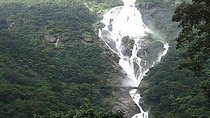 Private Adventures in the Jungle near Goa
