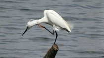 Karnala Bird Sanctuary Excursion From Mumbai With Brunch