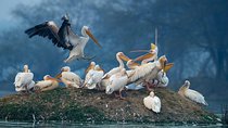 7-Day Private Golden Triangle Tour - Forts Palaces and Wildlife Sanctuary