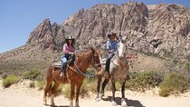 Morning Horseback Ride with Breakfast from Las Vegas
