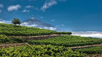 Bodegas Monje Winery Ticket w/Wine Tasting & Mojo Sauce Workshop