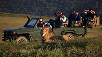 2 Day Safari Experience from Cape Town 