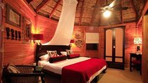 4 Day Garden Route Adventure & Safari