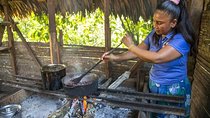 BriBri Chocolate Tour in Puerto Viejo & Cahuita National Park