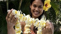 Honeymoon Airport Lei Greeting on Kahului Maui
