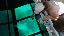 Glass-Bottom Boat Cruise from Waikoloa