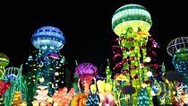 Glow Garden Ticket & Two Way Private Transfers