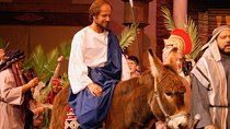 Palm Sunday in Jerusalem: Mass at Bethpage and Via Dolorosa Procession with Transport from Tel Aviv